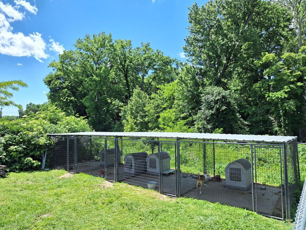 All Photos for Apex Fence in Henderson, KY