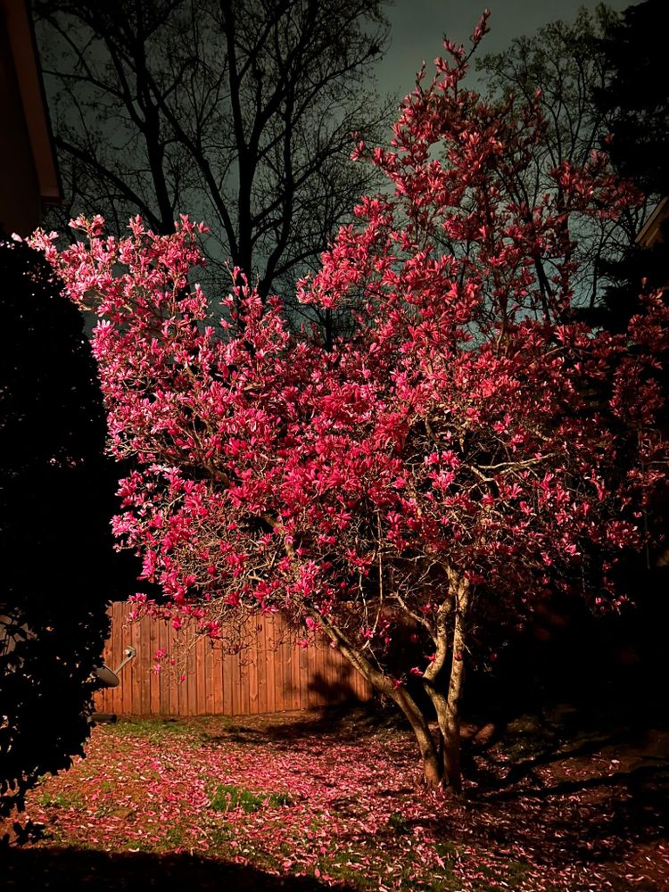 All Photos for Circle One Landscaping in Alpharetta, GA