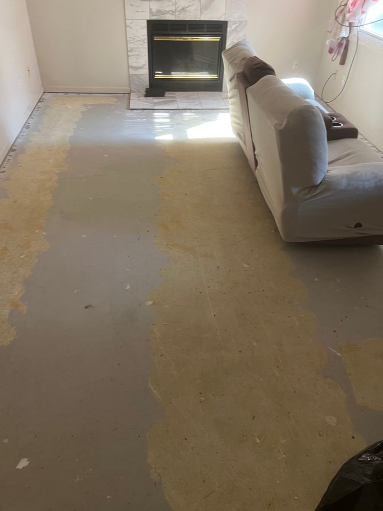 All Photos for Dib 896 Flooring in Dearborn Heights, MI