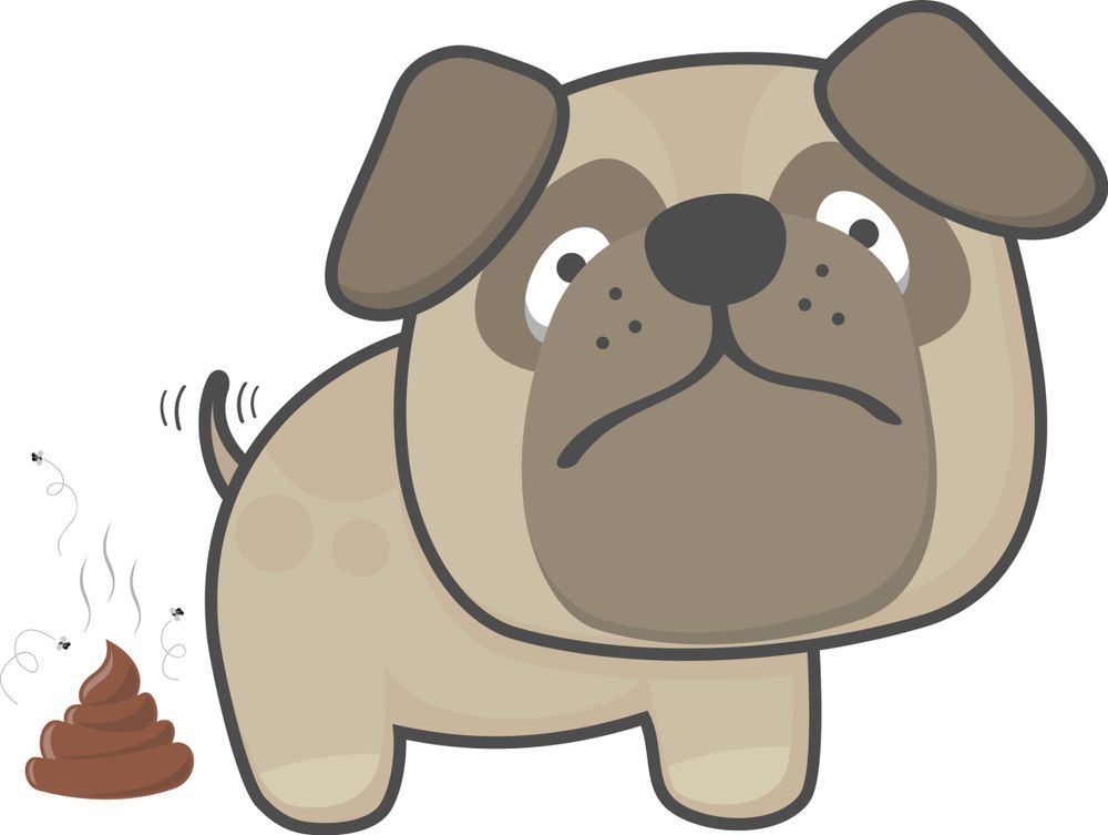 All Photos for River City Scoopers in Midlothian, VA