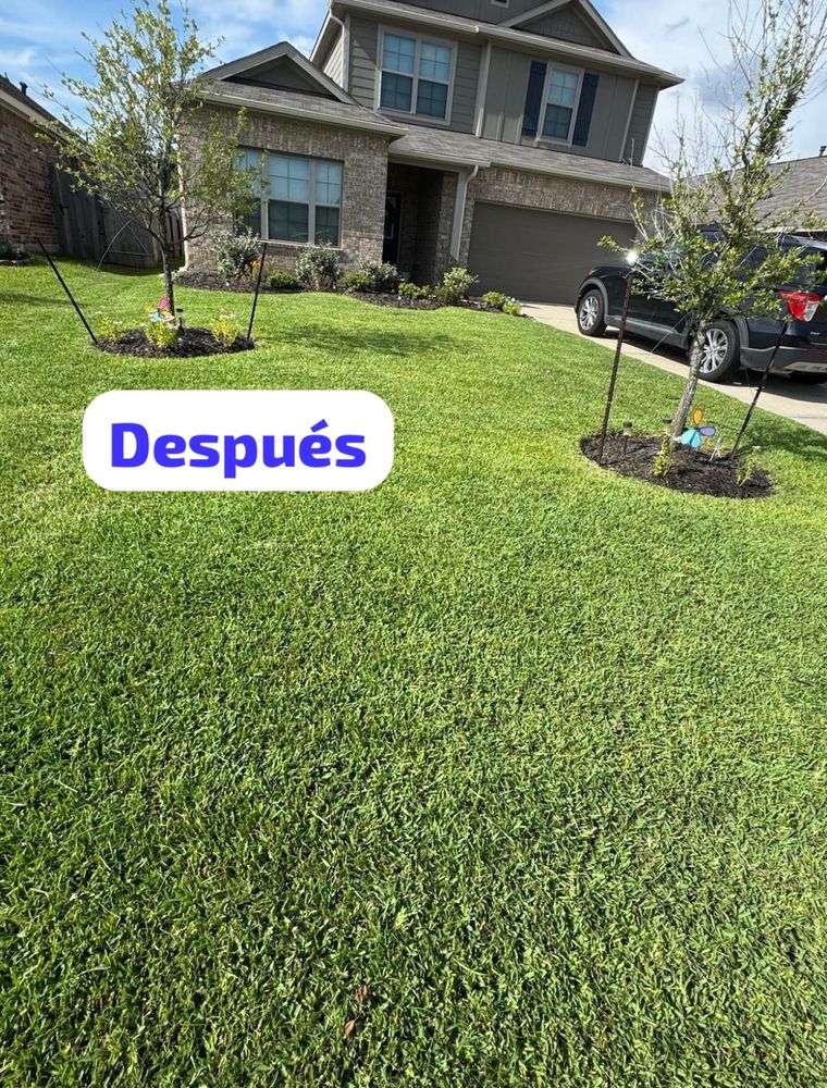 Residential Landscaping for Loredo's Landscaping in New Caney, TX