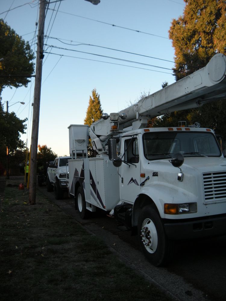 All Photos for Willamette Landscaping and Tree Services in Albany, OR