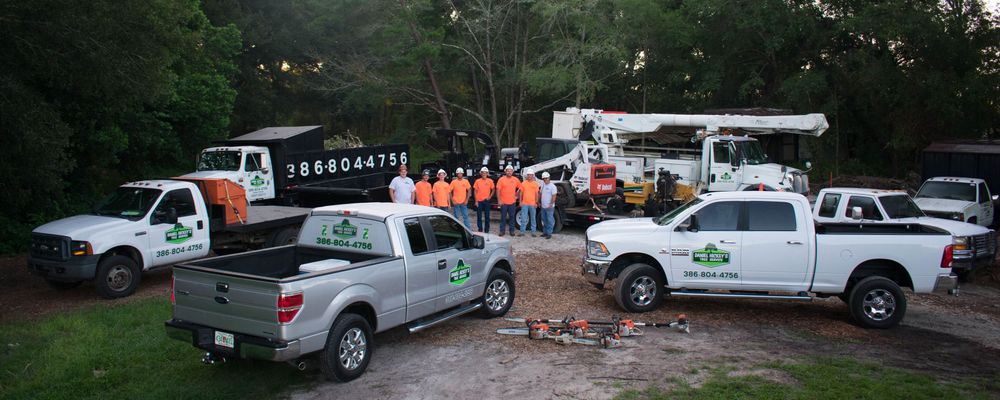 Tree Removal for Daniel Hickey’s Tree Service in DeLand, FL