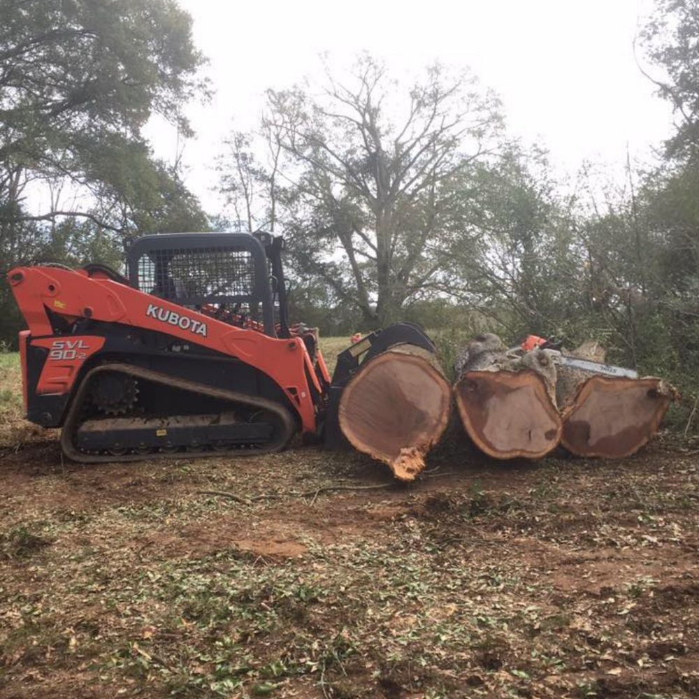 All Photos for Lakeside Tree Experts LLC in Hartwell, GA