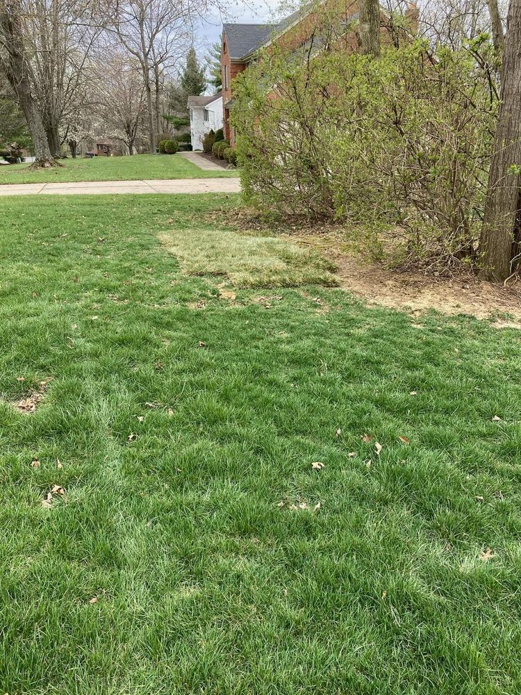 All Photos for My Lawn Solutions LLC in Milford, OH