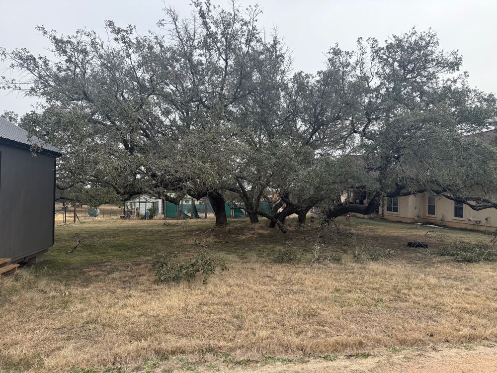 All Photos for Oakley’s Stump ‘N Grind in Leander, TX