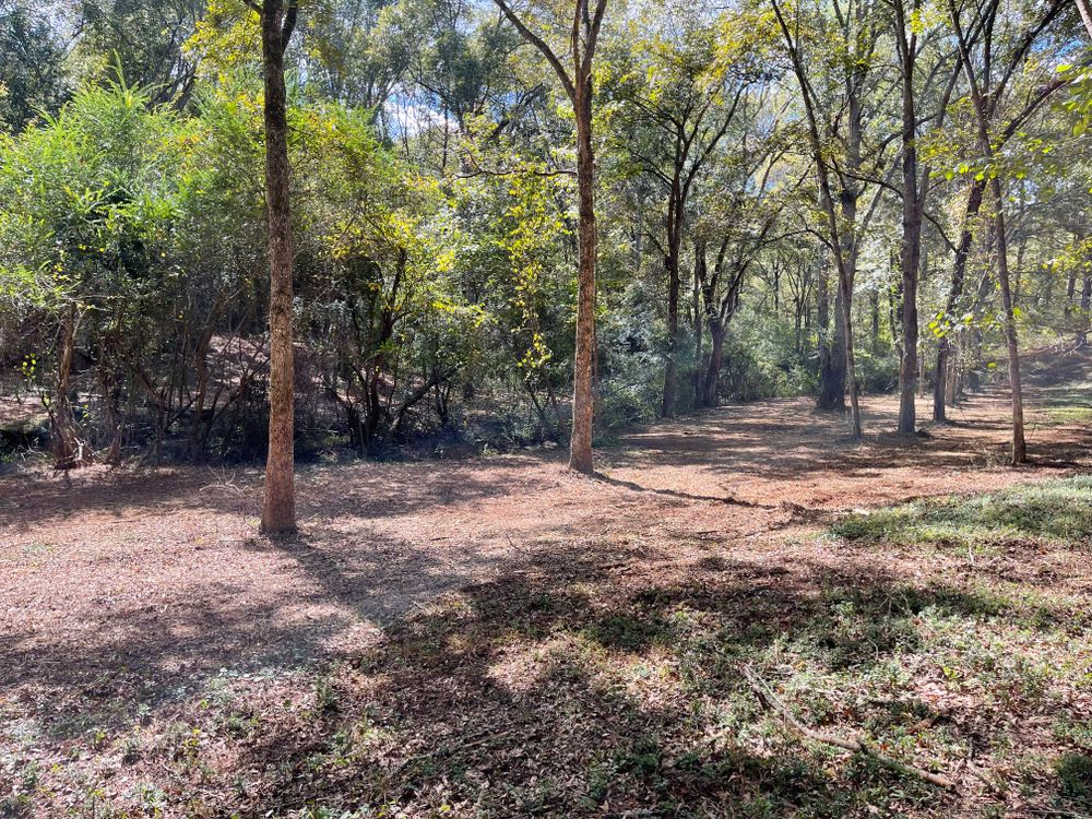 All Photos for KLNAX Enterprises in Newton County, GA