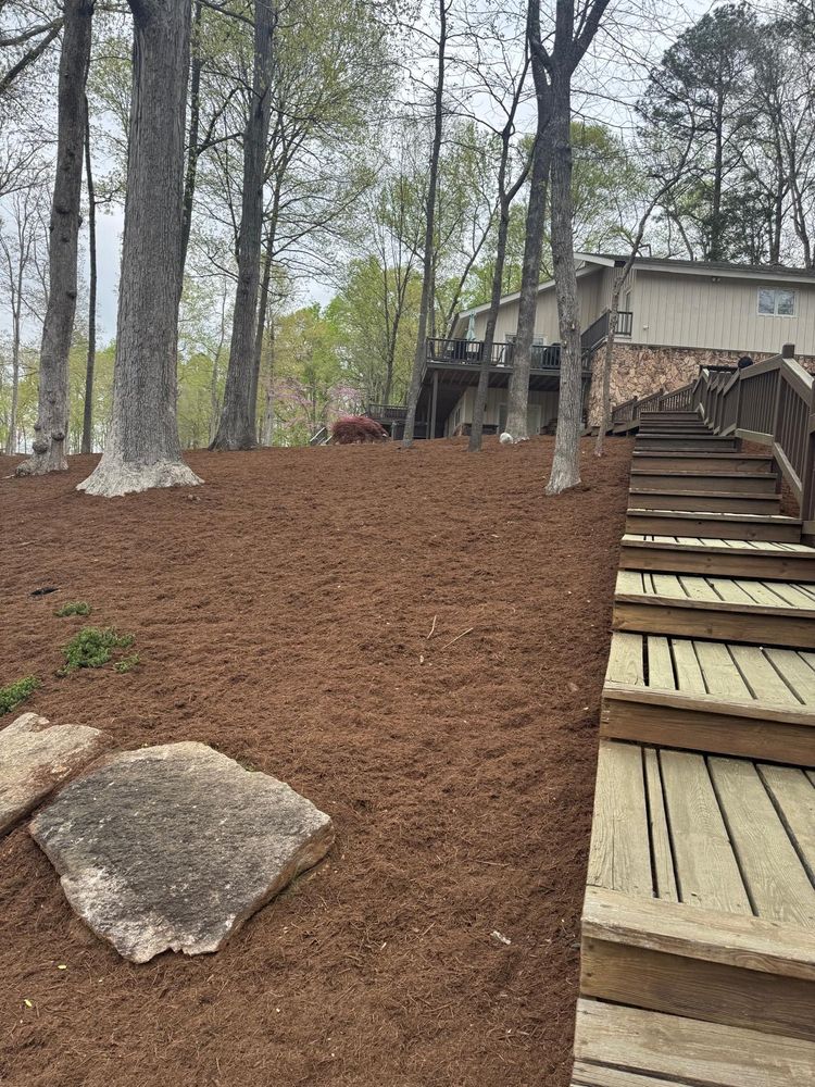 Tree Removal for Rosales Landscaping LLC in Lake Gaston, North Carolina