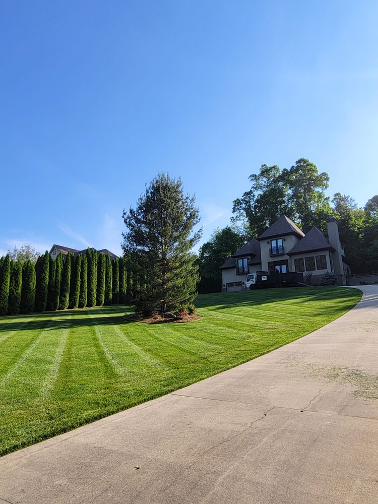 Lawn Maintenance  for C4 TrueVision Renovations in Asheville, NC