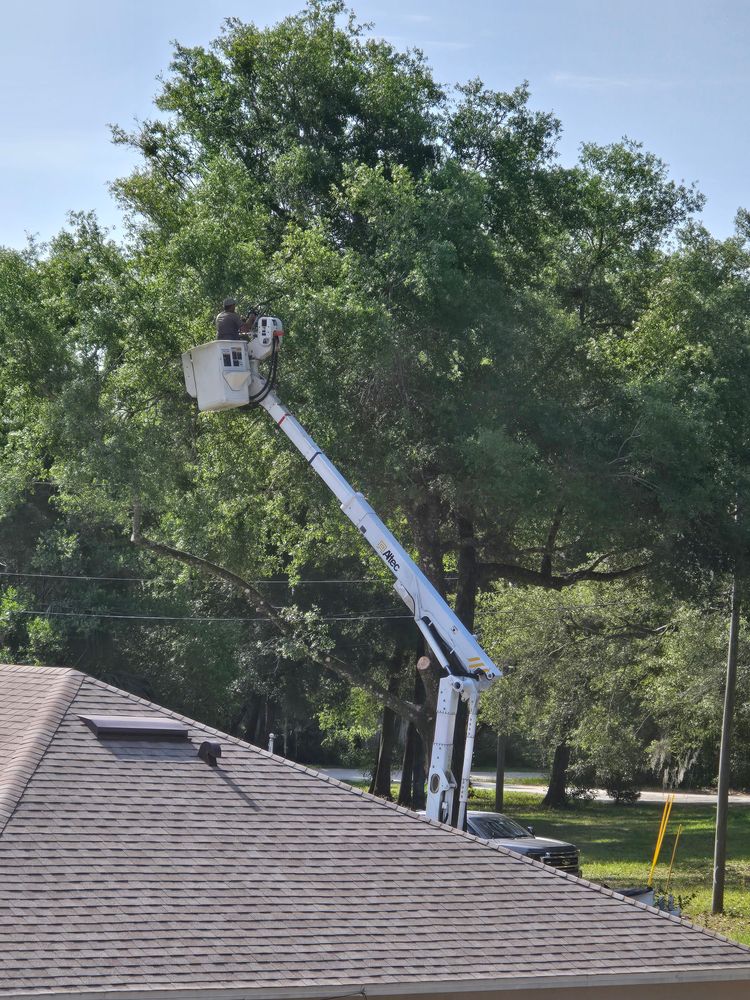 All Photos for Near Me Tree Service, Inc. in DeLand, FL