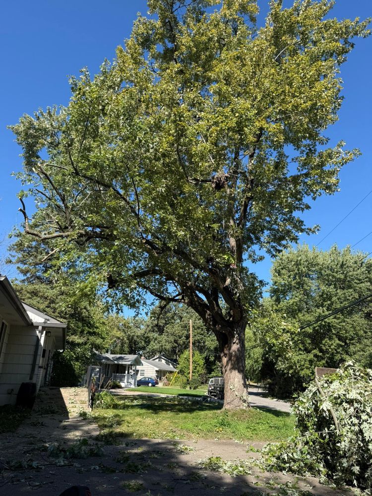 All Photos for Titan Landscaping in Rosemount, MN