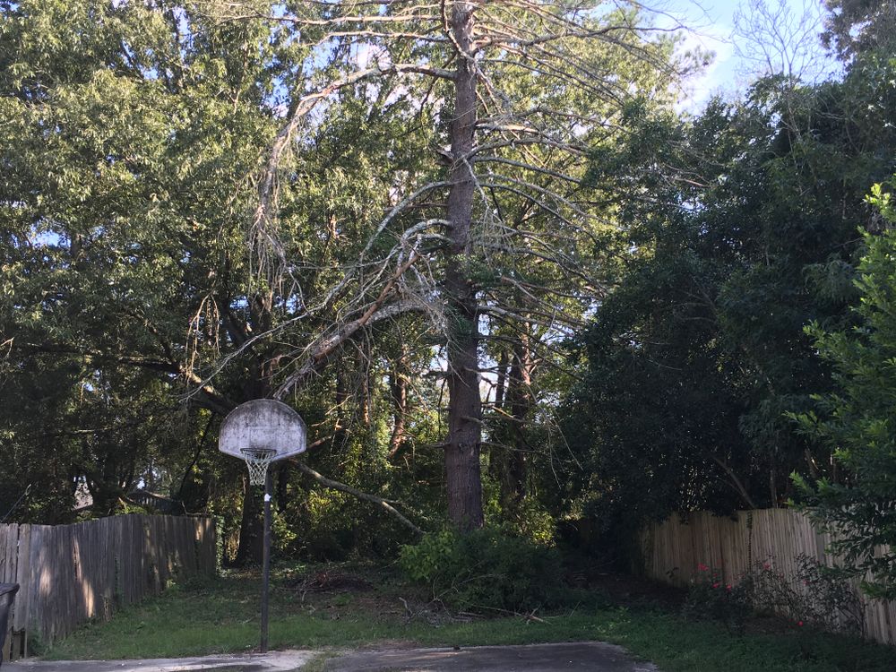 All Photos for Tucker's Tree Service and Stump Grinding in Lugoff, SC