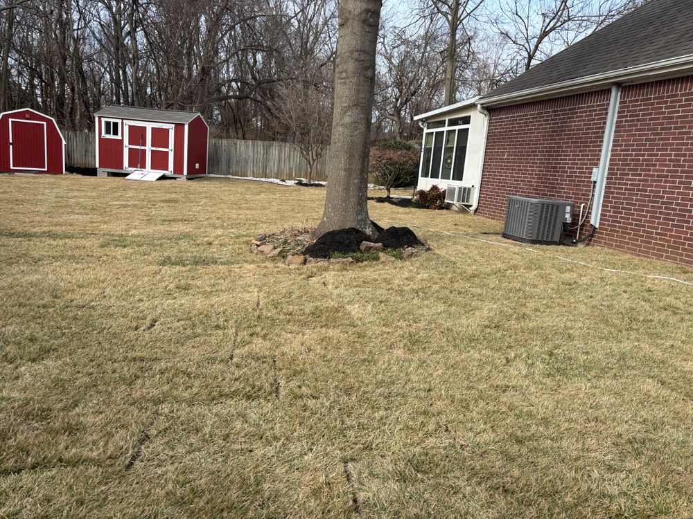 All Photos for Three Angels Lawncare in Rogers, AR