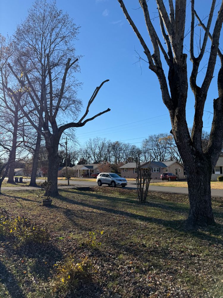 Enhance your home's curb appeal with our professional tree trimming service, expertly designed to maintain tree health and ensure a clean and tidy landscape for your outdoor space. for Arnold’s Outdoor Solutions in Woodbury, TN