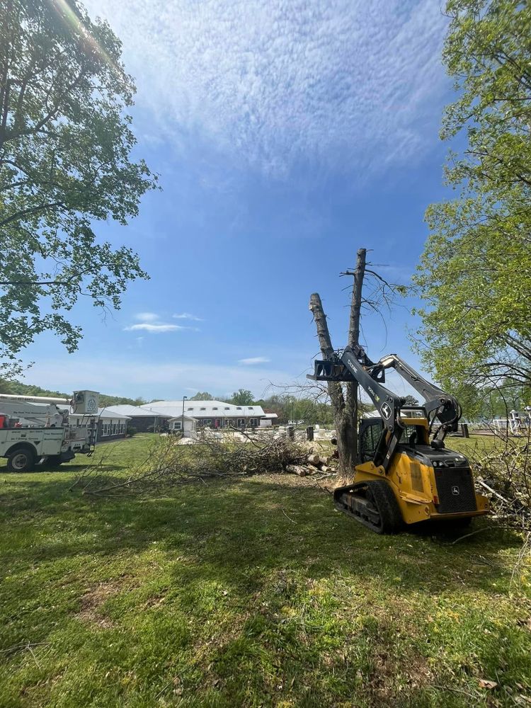 Tree Removal for Big Rock Tree Removal LLC in Boaz, AL