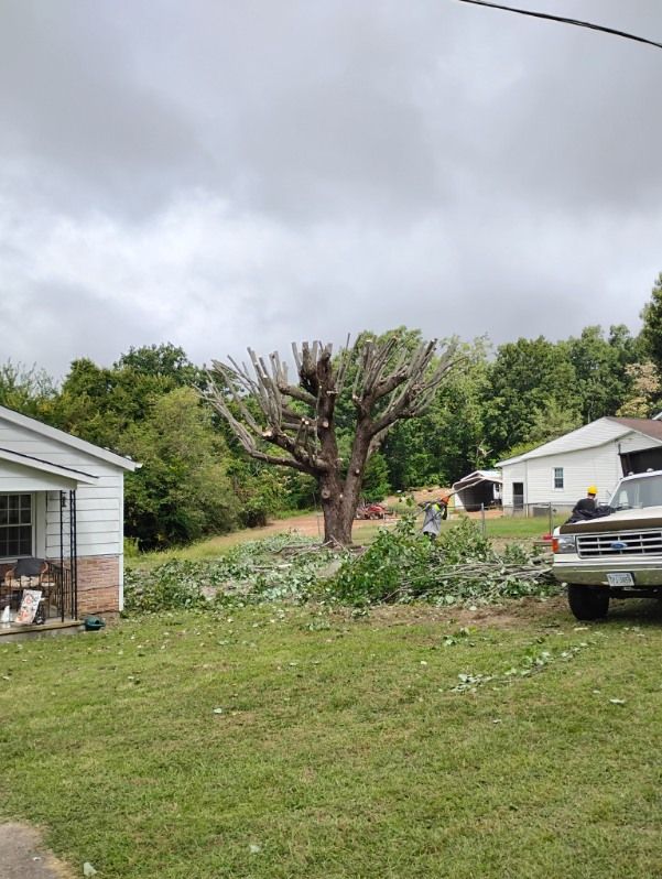All Photos for The Webster Tree Service in Danville, VA