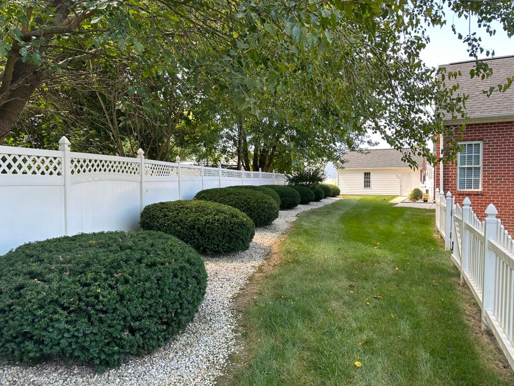 Enhance your home's curb appeal with our expert shrub trimming service. We ensure precise shaping and healthy growth to keep your landscape neat, vibrant, and attractive all year round. for Atlas Home Services in Mechanicsville, VA