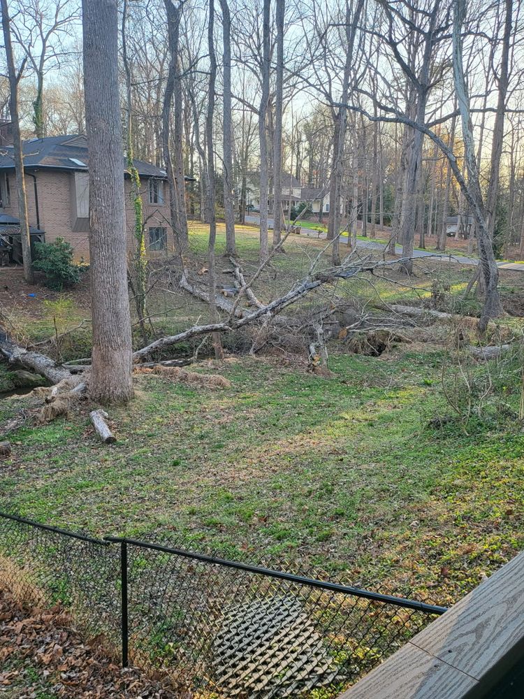 All Photos for Toney Site Services LLC in Rutherford County, NC