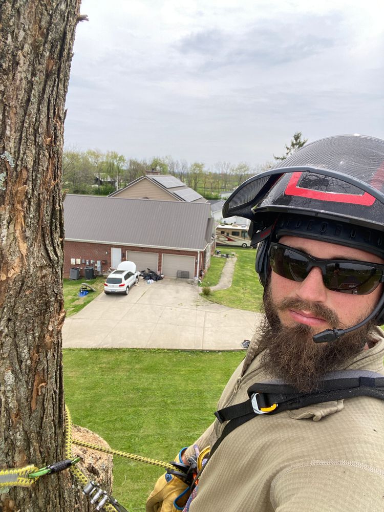 All Photos for Houtz Tree Service in Lexington, KY