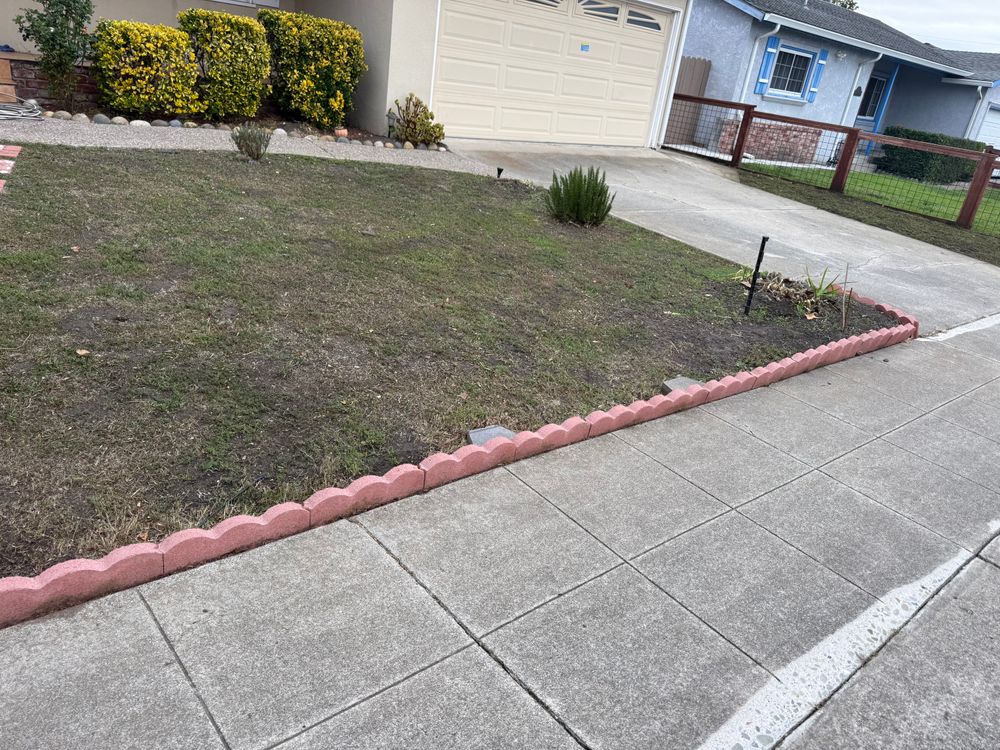 All Photos for CBA Landscaping in Hayward, CA