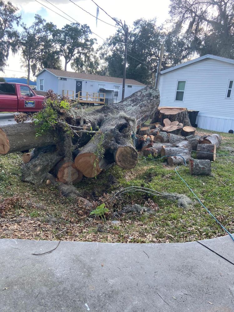 Fall and Spring Clean Up for Efficient and Reliable Tree Service in Lake Wales, FL