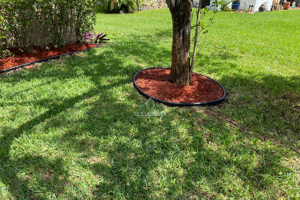 Landscaping for A.C.'s Landscape and Lawn Maintenance in   Coral Springs, FL