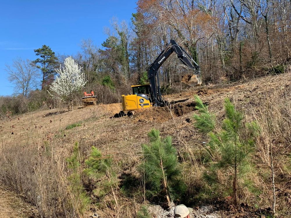 Our expert Tree Trimming & Removal service ensures your property's safety and beauty, efficiently managing overgrown or hazardous trees with precision, while protecting the surrounding landscape in every season. for J.P Landscaping and excavation in Chattanooga, TN