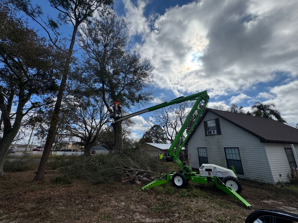 All Photos for Heverly Land Solutions in Winter Haven, FL