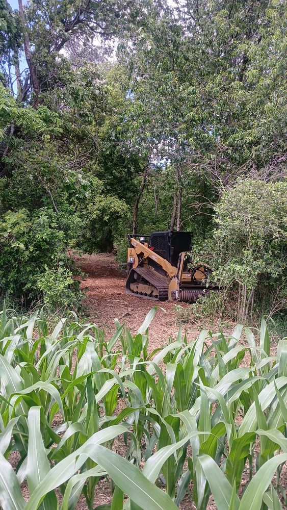 All Photos for Willing Trucking & Excavating in Evansville, WI