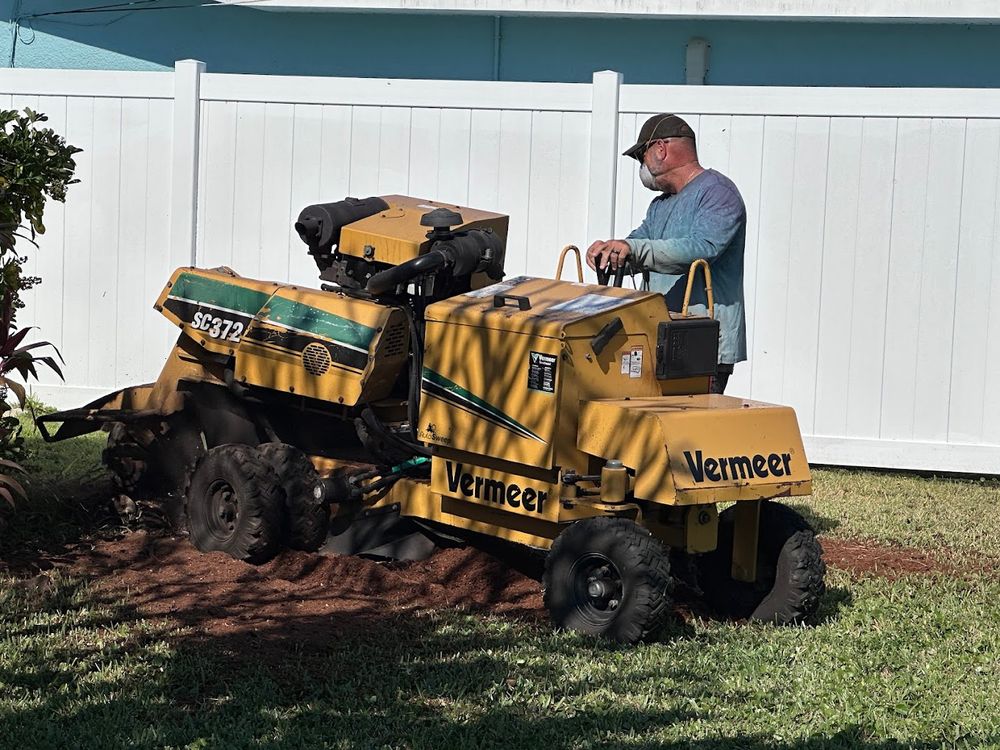 Tree Services for Busy Beaver Stump Removal, Inc in Clearwater, FL