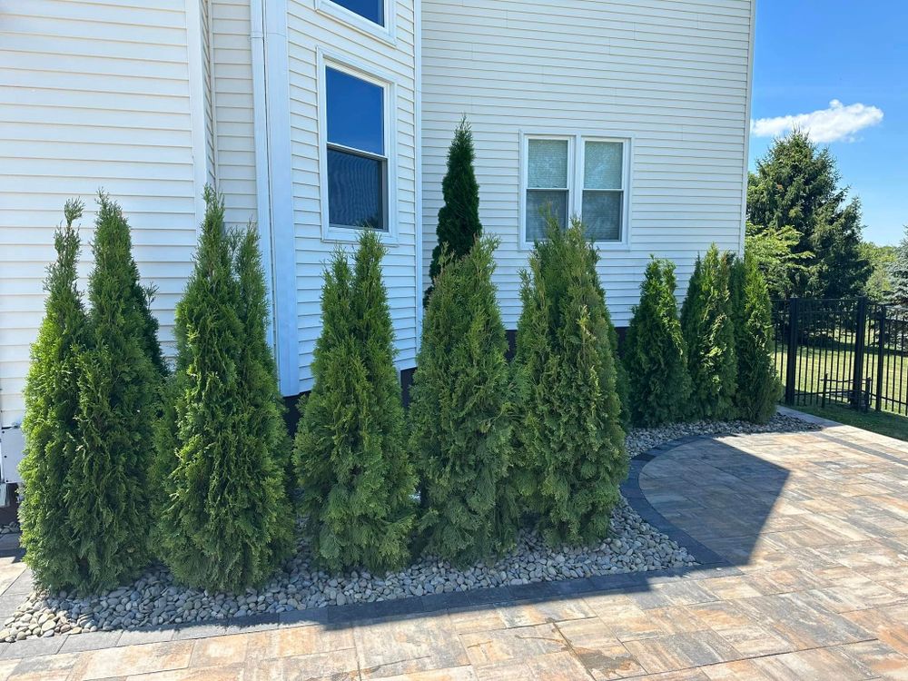 Enhance your home's curb appeal with our professional shrub trimming service, expertly shaping and maintaining your plants for a neat, healthy appearance that complements any landscape design. for BW Outdoor Solutions in Newton, NJ