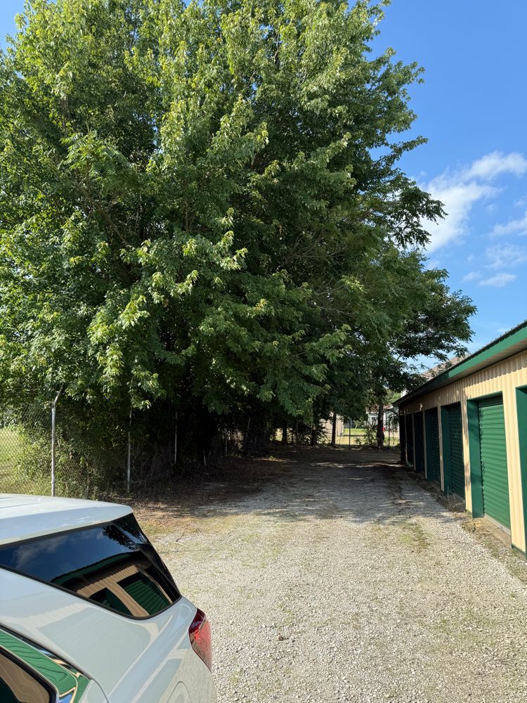 Tree Removal for Hunnicutt’s Tree Service L.L.C. in Monticello, IN