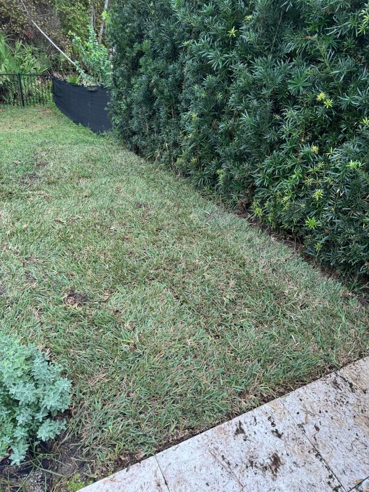 Transform your lawn with our professional mowing service, delivering precision cuts and meticulous care to enhance the beauty and health of your landscape for a pristine outdoor space you'll love. for Four Corners Sod in Saint Augustine, FL