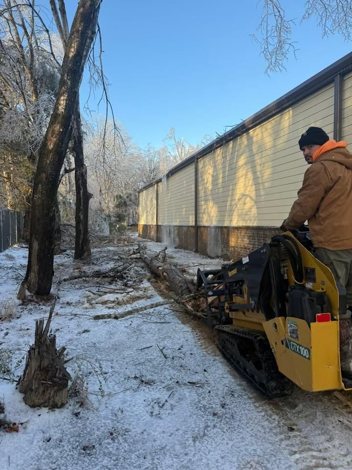 All Photos for Ross Family Tree Service LLC  in Hohenwald, TN