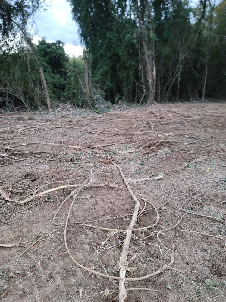 All Photos for Z's Land Management & Forestry Mulching in Smithville, TN