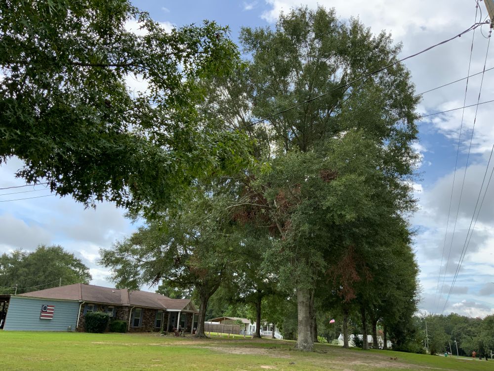 All Photos for Broadway & McMullen Construction in Hattiesburg, MS