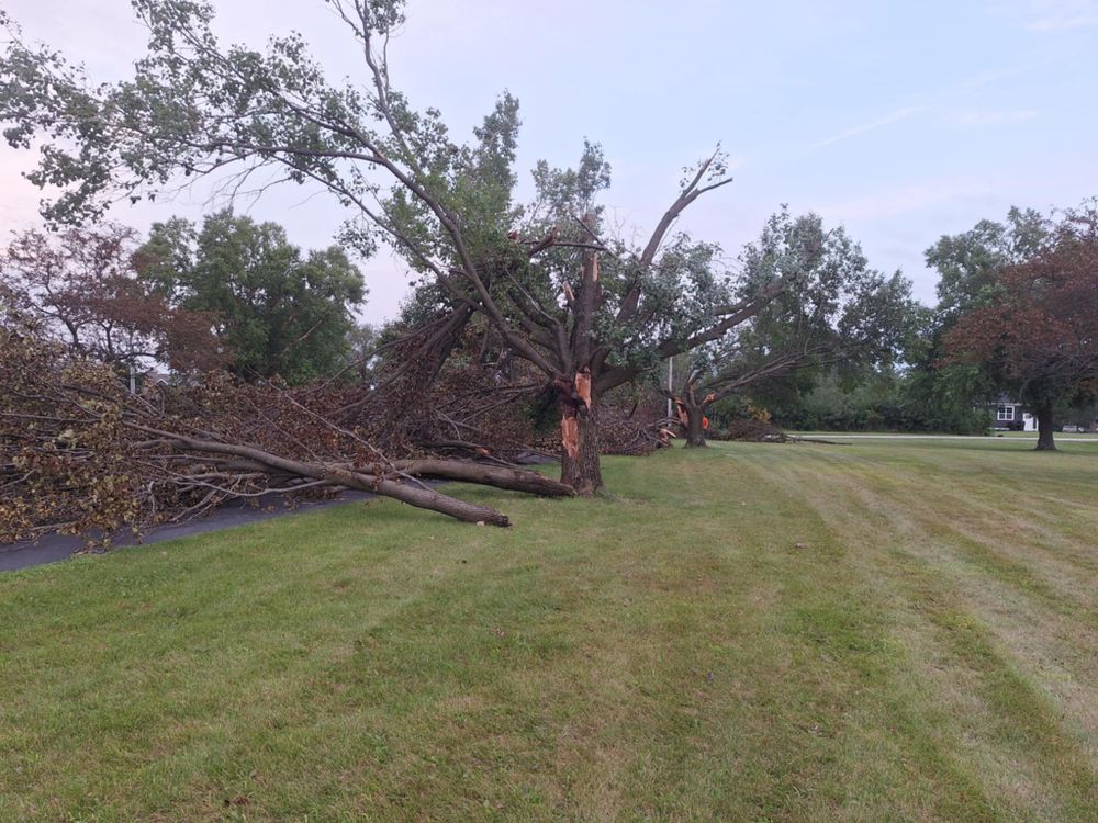 Emergency Storm Work for Highborn Tree Service in Wheatfield, IN