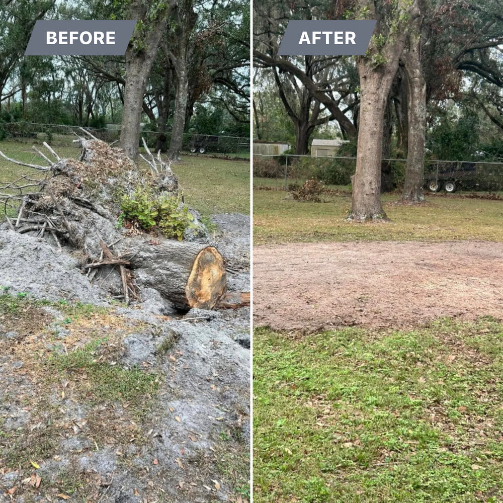 Stump Grinding for Greene Acres Stump Grinding in Plant City, FL