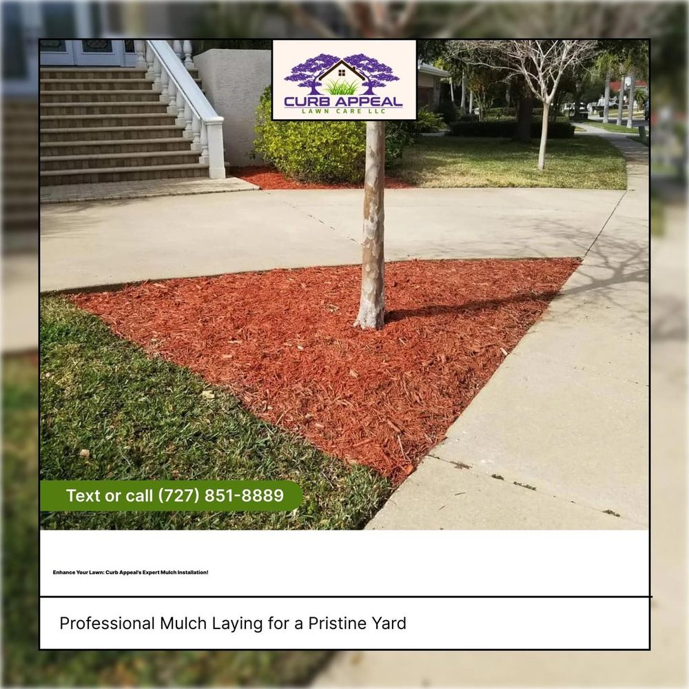 All Photos for Curb Appeal Lawn Care LLC. in Gulfport, FL