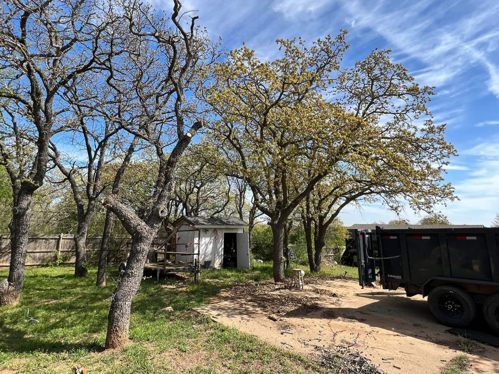 Land Clearing for D&D Custom Services in Jacksboro,  TX