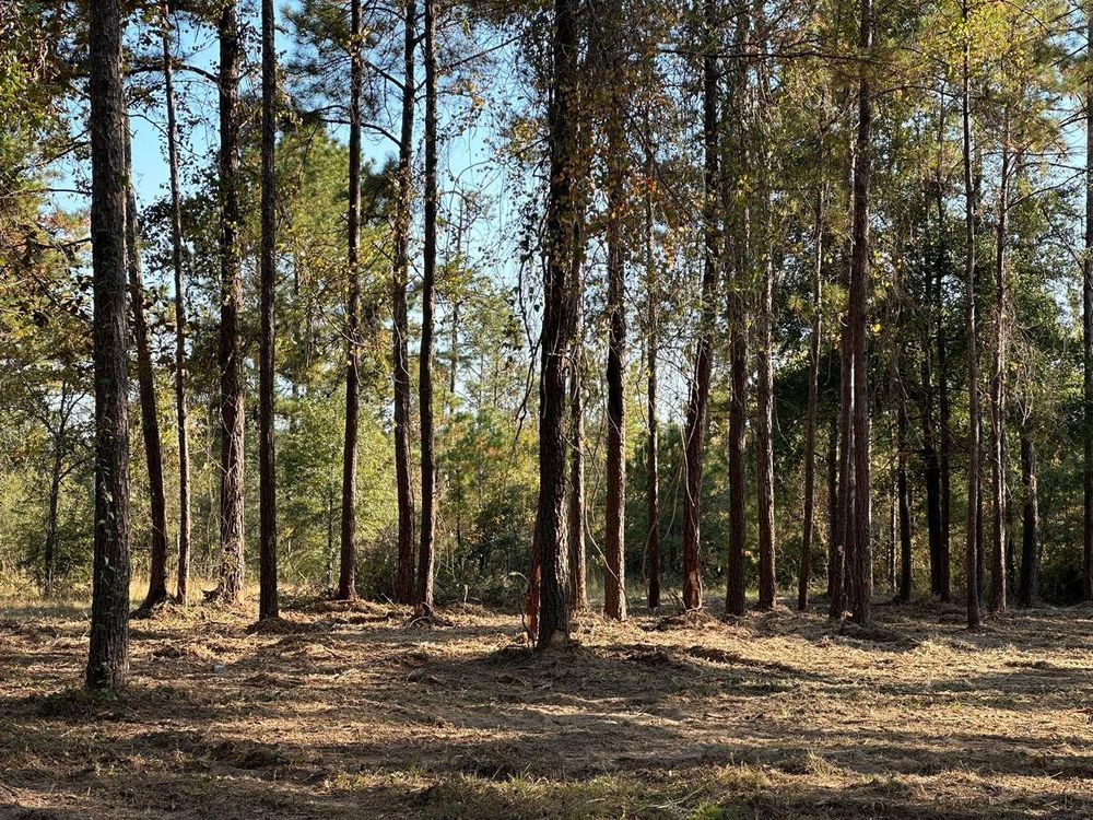 All Photos for White’s Land Maintenance in Milton,, FL