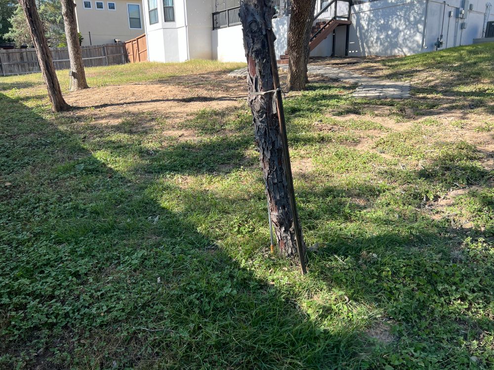 All Photos for DR Landscape in San Antonio, TX