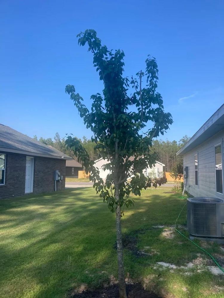 Landscaping for HT Outdoor Living in Freeport,  FL