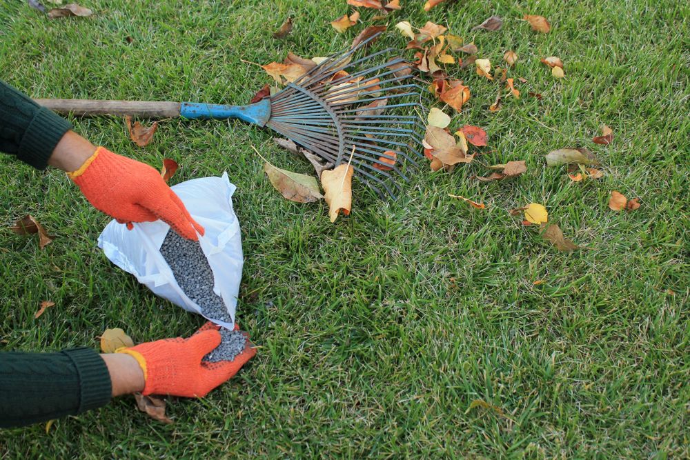 Lawn Care for Zotelo’s Lawncare LLC in Winston-Salem, NC