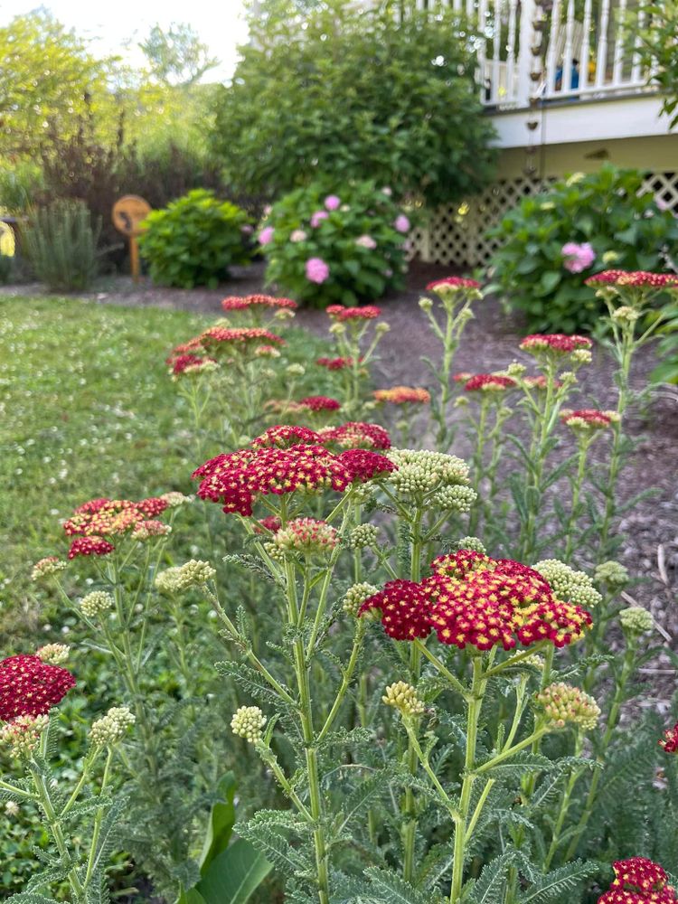 Landscaping for DNA Landscapes in Hackettstown, NJ