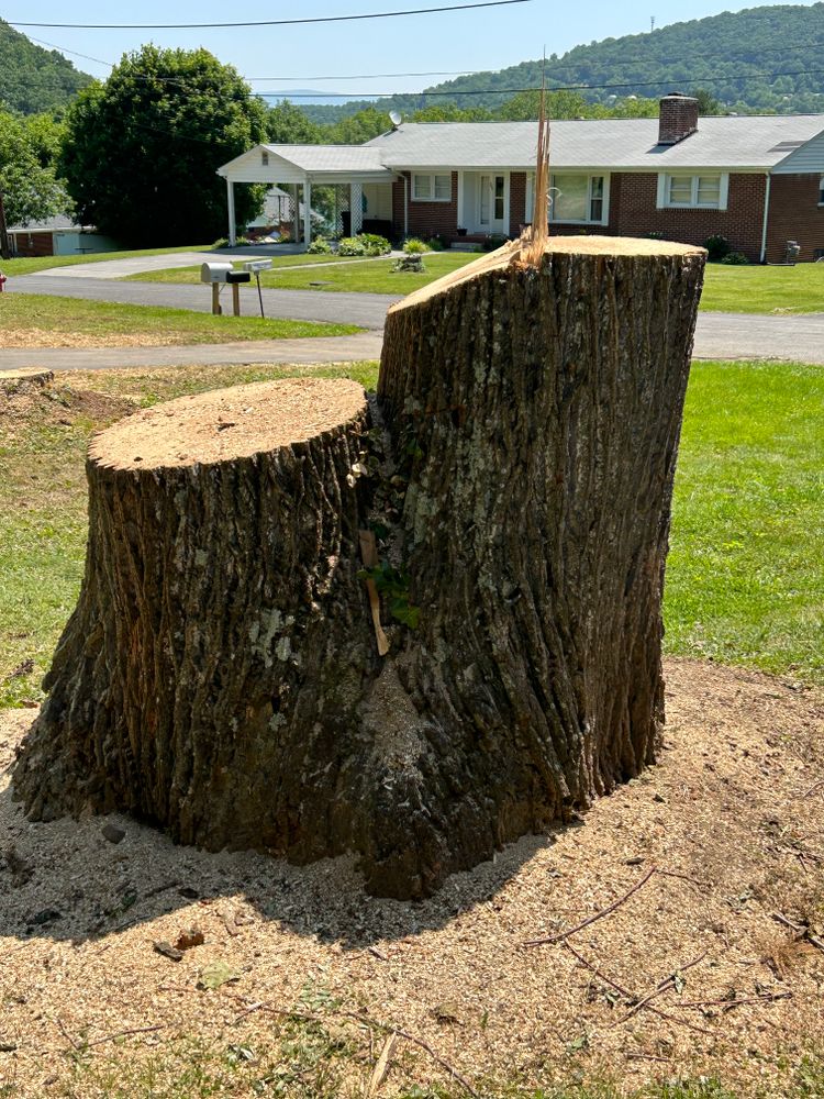 Tree Removal for NRV Tree Pro, LLC in Narrows, VA