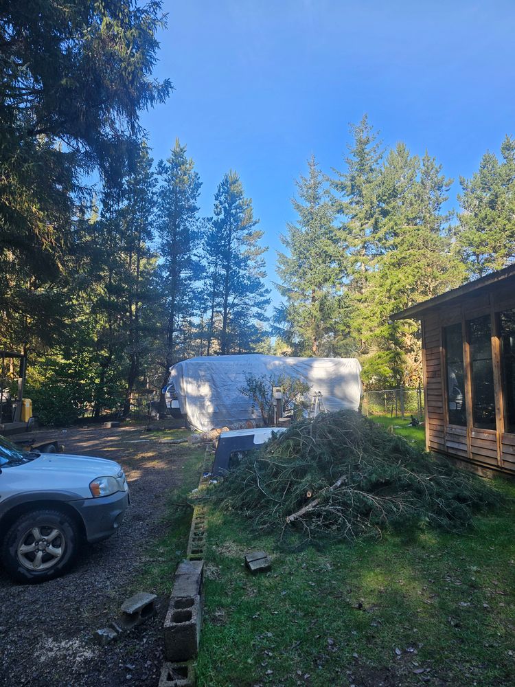 All Photos for Trio Tree Services in Ocean Park, WA