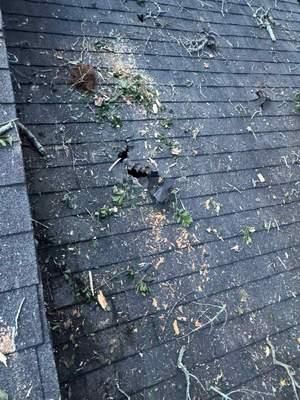 All Photos for Bulldawg Disaster Response in Atlanta, GA