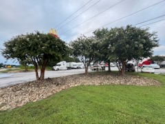 All Photos for Thin Green Line Landscaping & More in Laurens, SC