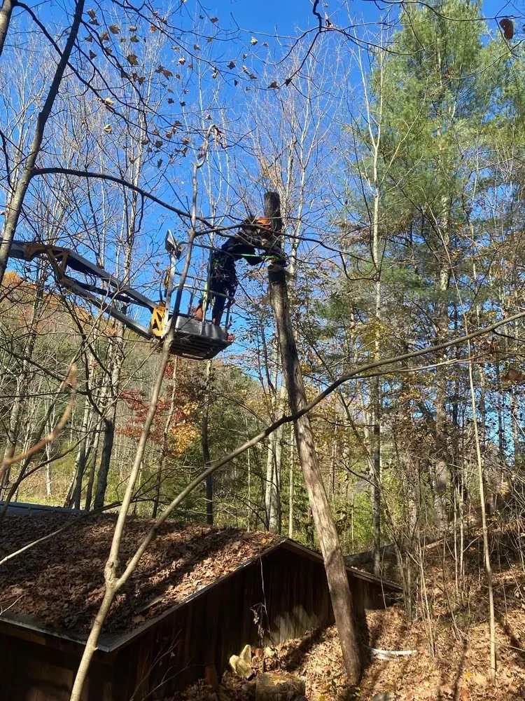 All Photos for Licensed to Cut Tree Service in Athens, PA